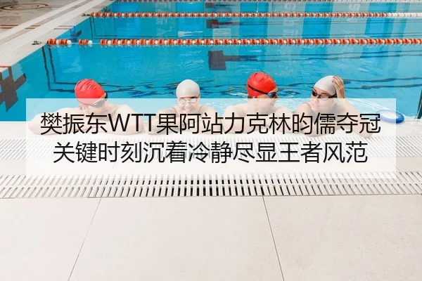 樊振东WTT果阿站力克林昀儒夺冠 关键时刻沉着冷静尽显王者风范